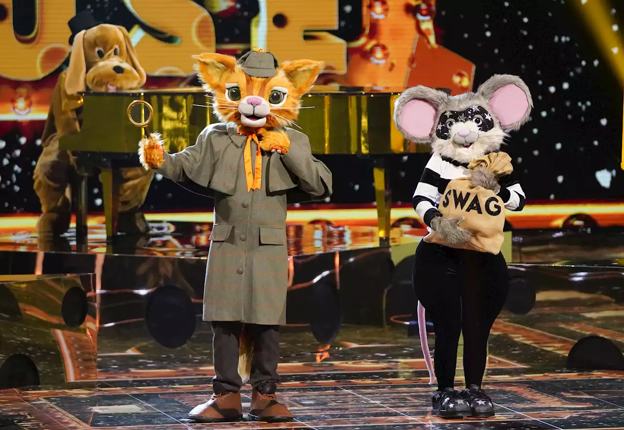 The Masked Singer fans fume as Cat and Mouse are booted off and revealed as married couple