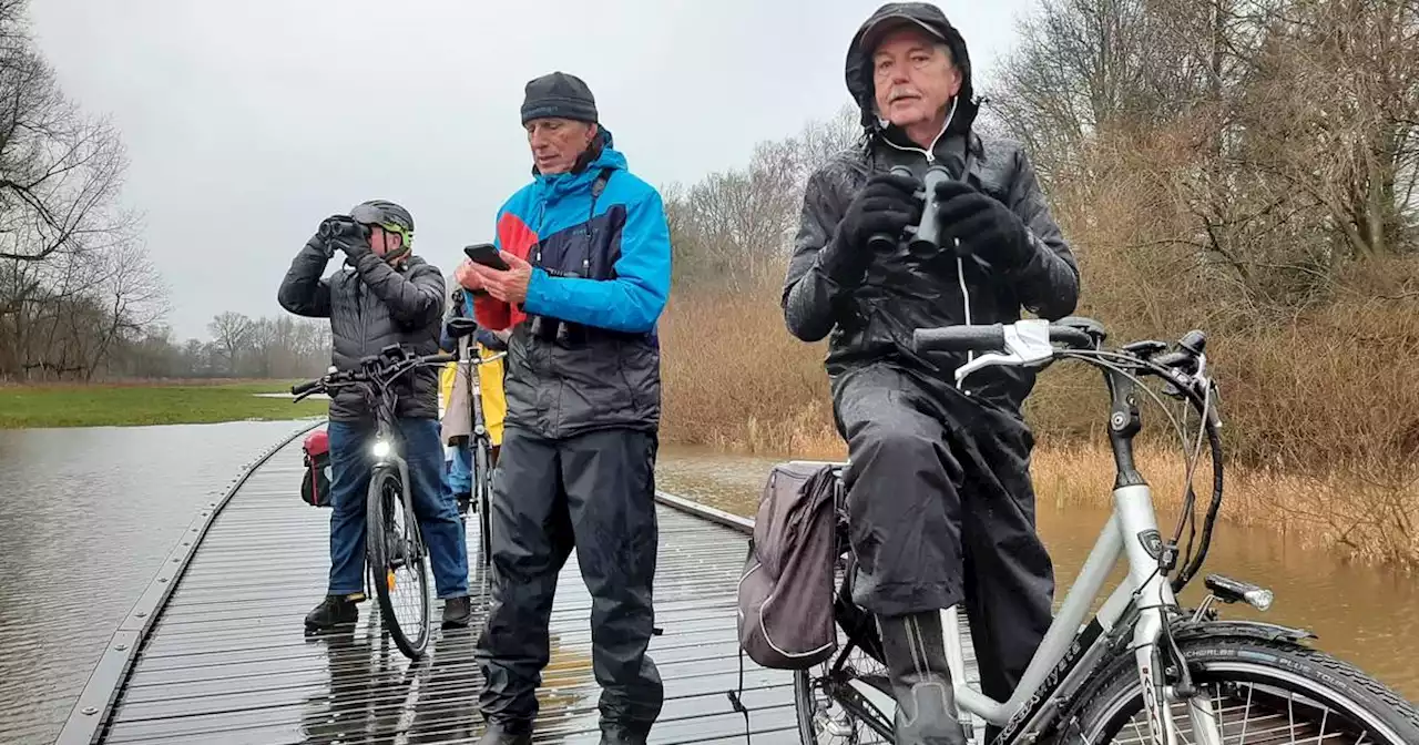 Watervogeltelling bij de Dinkel: 'Als ik zo zeiknat moet worden, dan wíl ik ook iets zien’