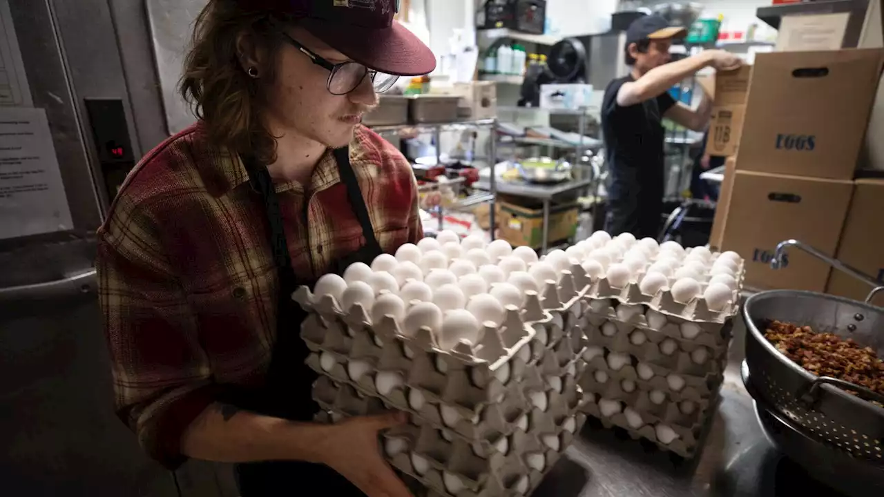 Soaring egg costs means higher prices at Tucson restaurants