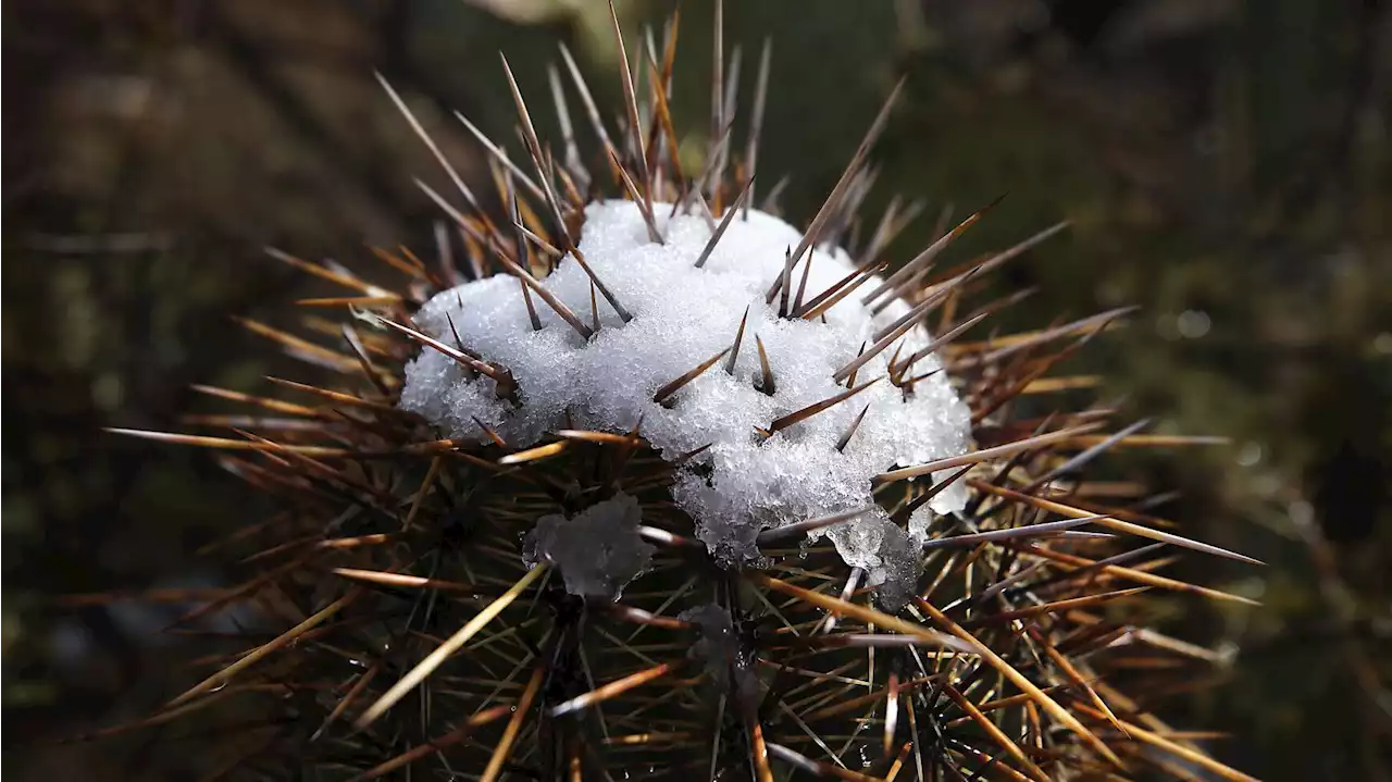 Today's Tucson weather forecast: Jan. 14