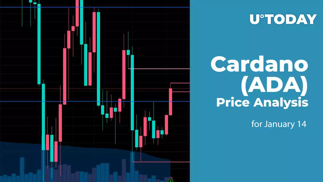 Cardano (ADA) Price Analysis for January 14