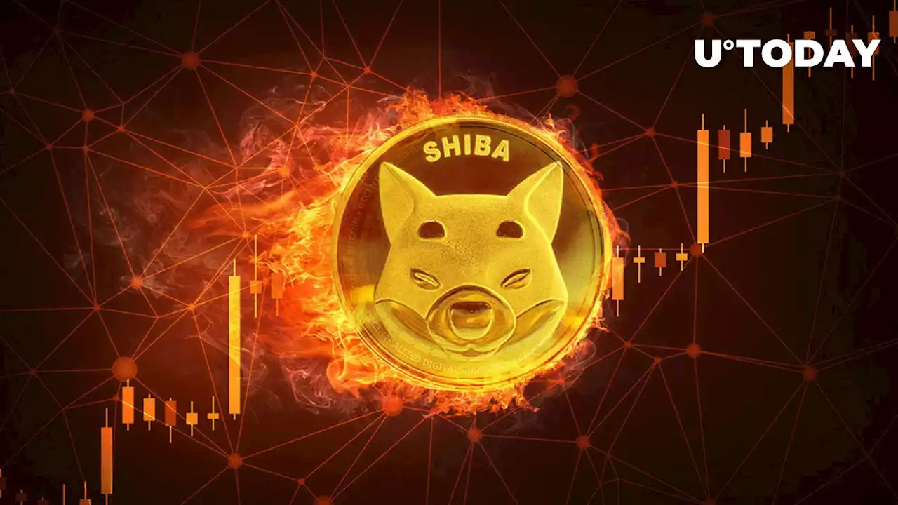 SHIB Burn Rate 5,761% Up as Shiba Inu Surpasses Wrapped Bitcoin (WBTC) by This Metric