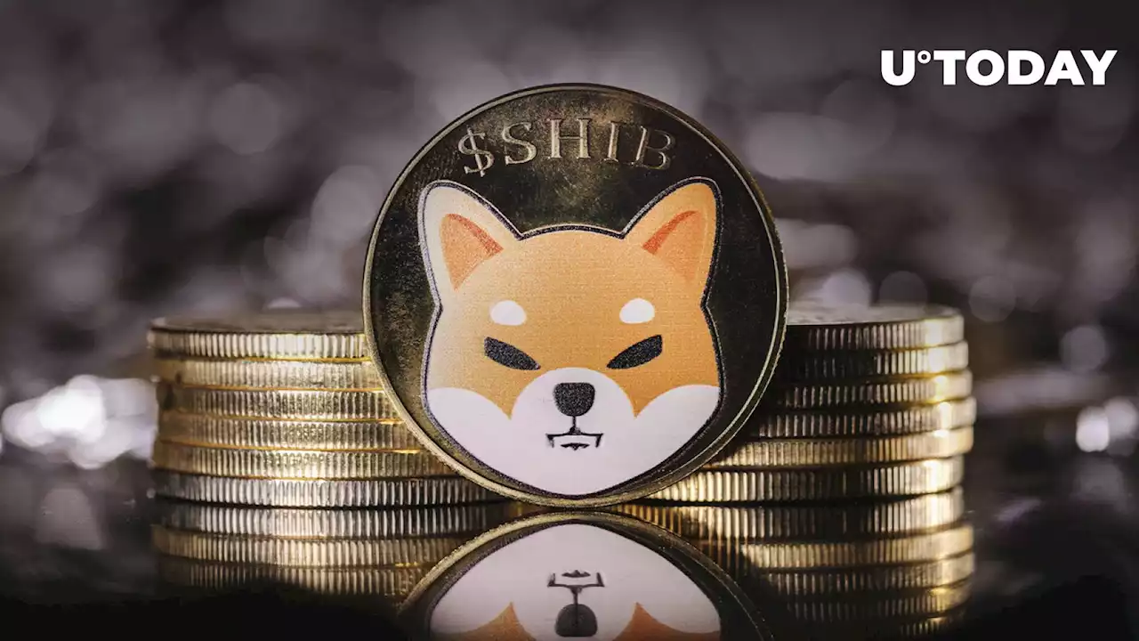 Shiba Inu (SHIB) Price Up 28% Within Week — Another Zero Finally Burned