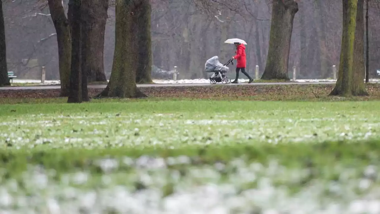 parkverwaltung warnt vor spaziergängen in bürgerpark und stadtwald