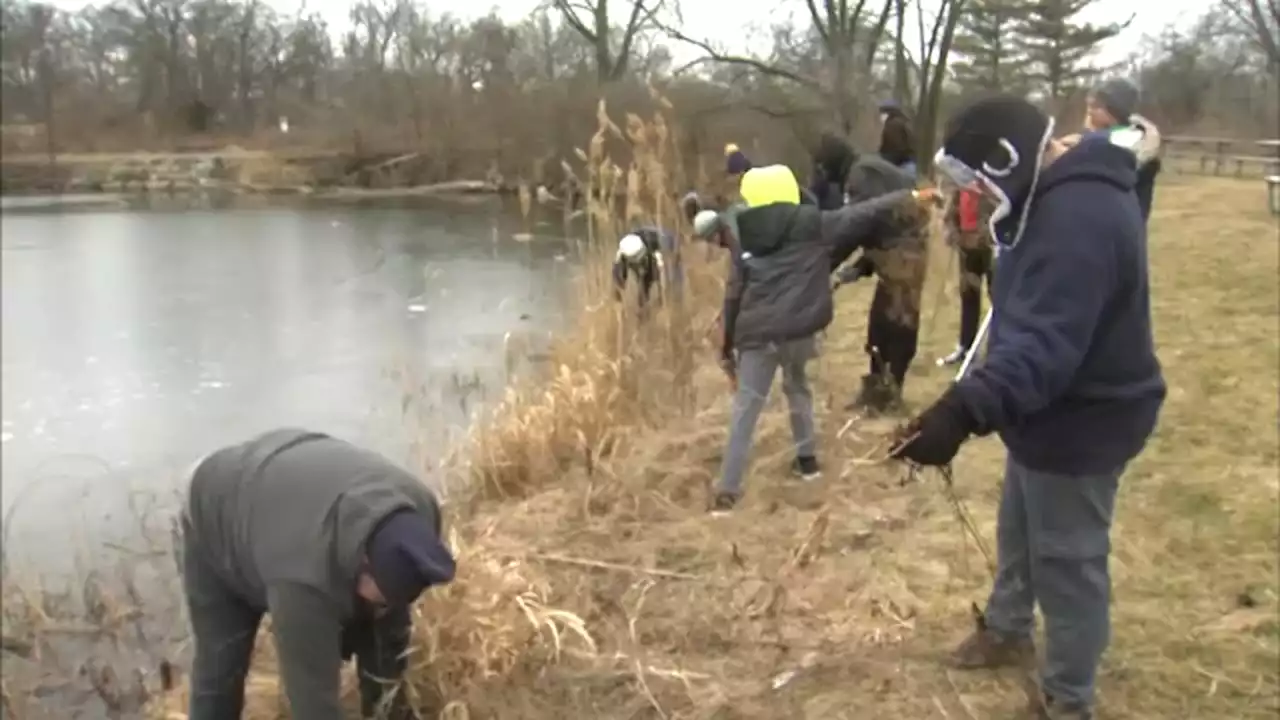 Volunteers help clean up a Cook County Forest Preserve in honor of Martin Luther King Jr