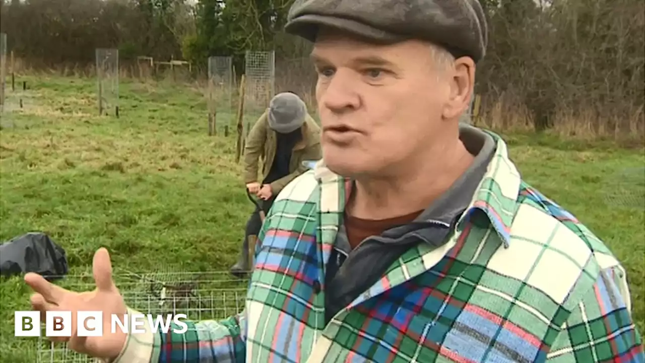 Gloucestershire fruit tree project aims to tackle climate change