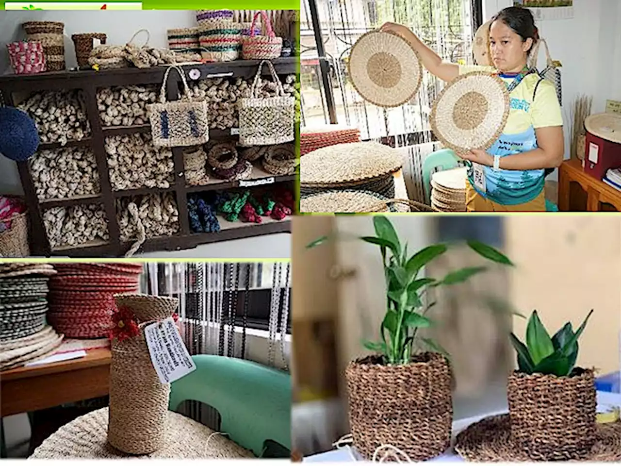 Forest management showcases in Negros, Panay | Jonathan L. Mayuga