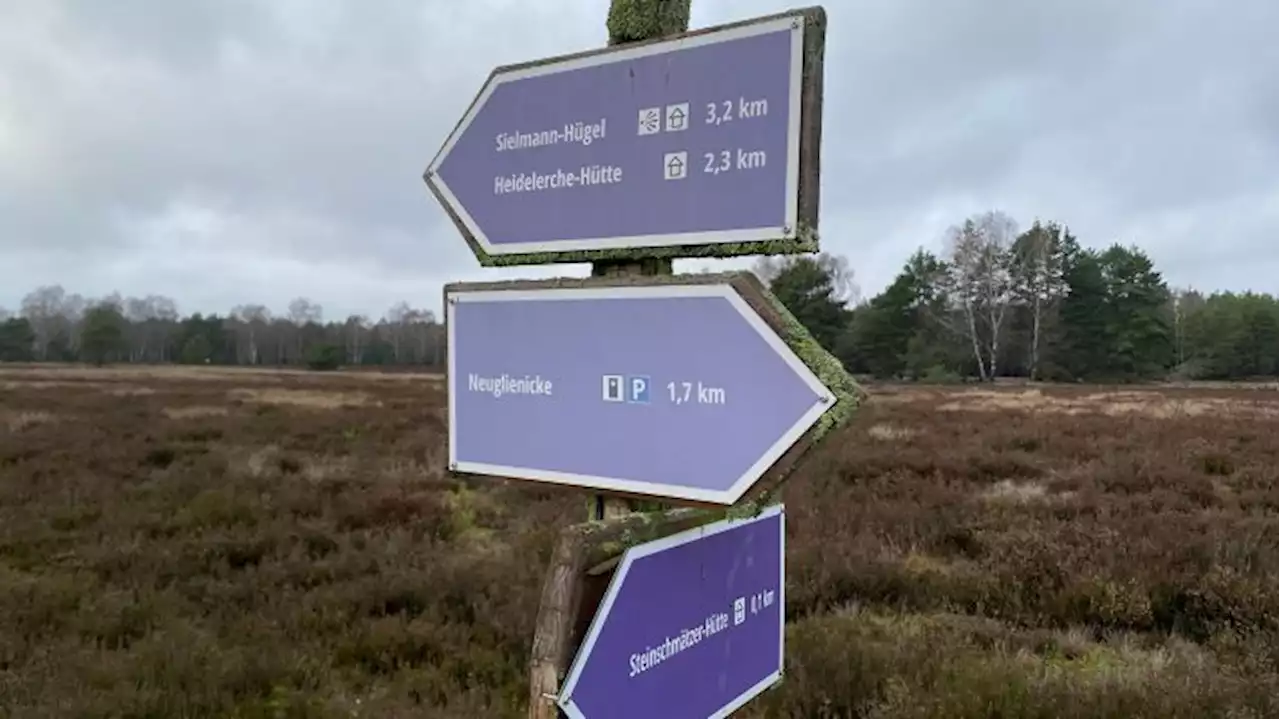 In der Kyritz-Ruppiner Heide kann man wieder wandern