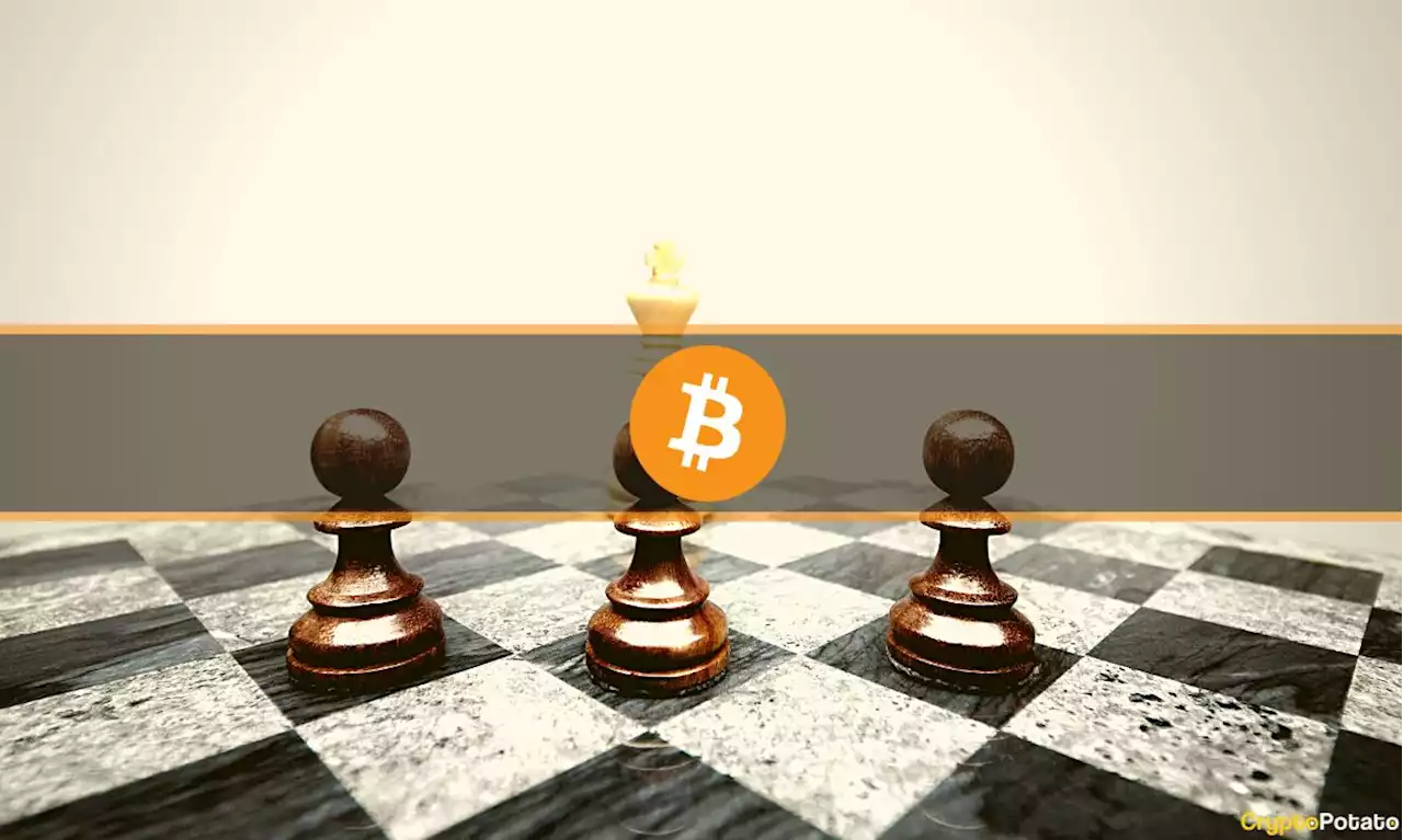 Bitcoin Dominance at 2-Month High as BTC Stands Firm Above $20K: Weekend Watch