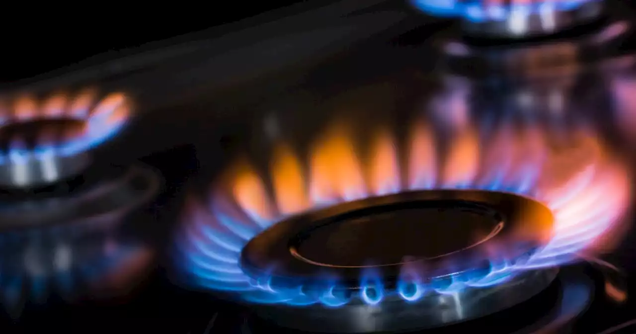 The great gas stove meltdown