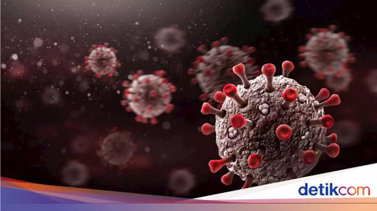 Otopsi COVID-19 Ungkap Virus Menyebar Melalui Seluruh Tubuh