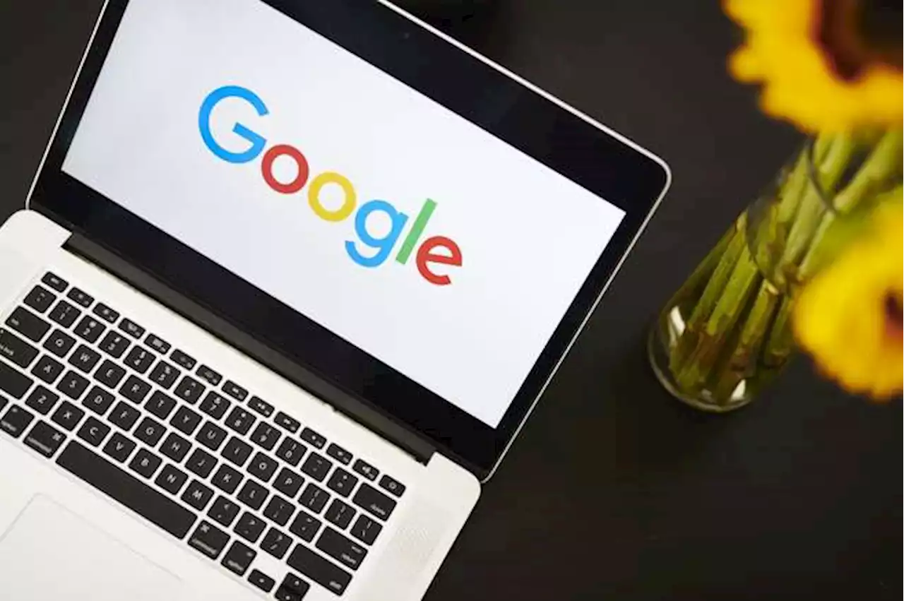 Cursos de Google gratis y certificados en 2023: así puede inscribirse