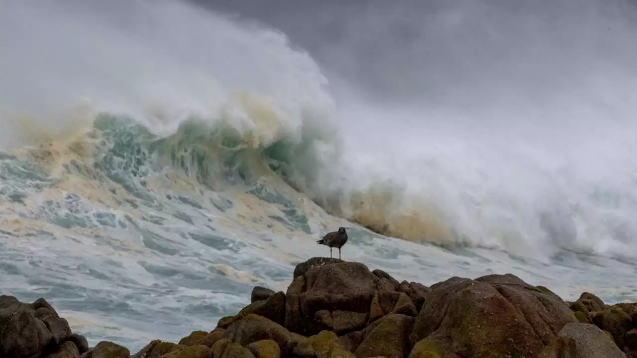 Biden approves California disaster declaration as another atmospheric river storm prepares to pummel state