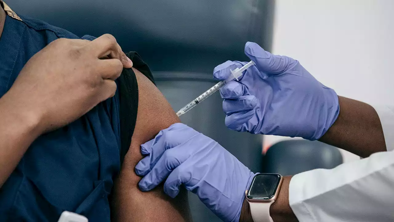 NY department of health 'exploring options' after judge strikes down COVID vaccine mandate for health workers