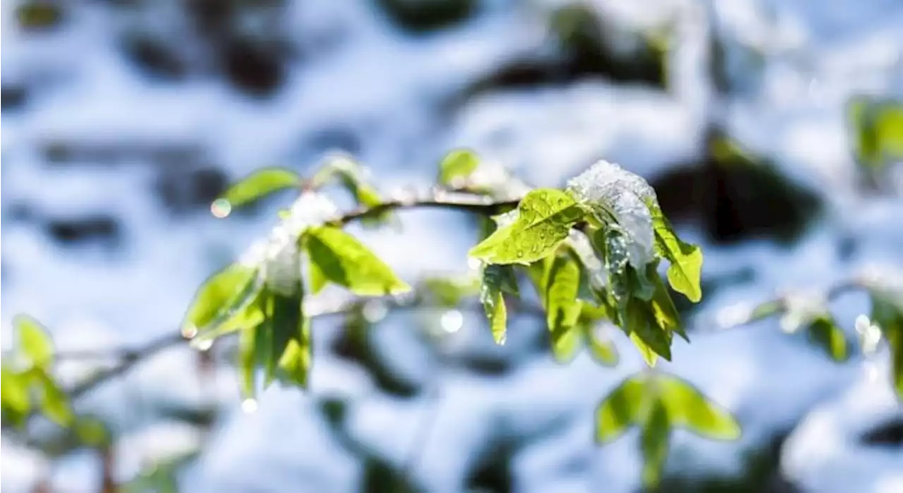 C'est officiel, une vague de froid débarque cette semaine et voici à quoi s'attendre !