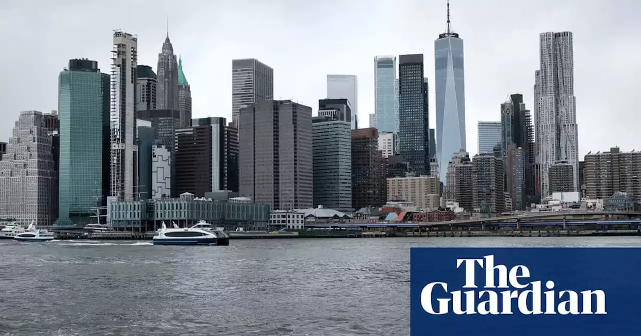 Treasure hunters dive for mammoth bones in New York’s East River