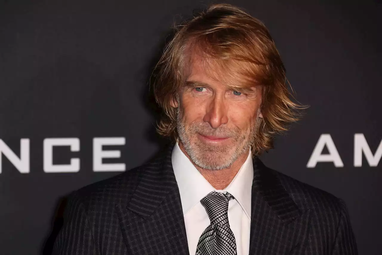 Michael Bay Rips 'Reckless And Defamatory' Report On Pigeon Killing Charges