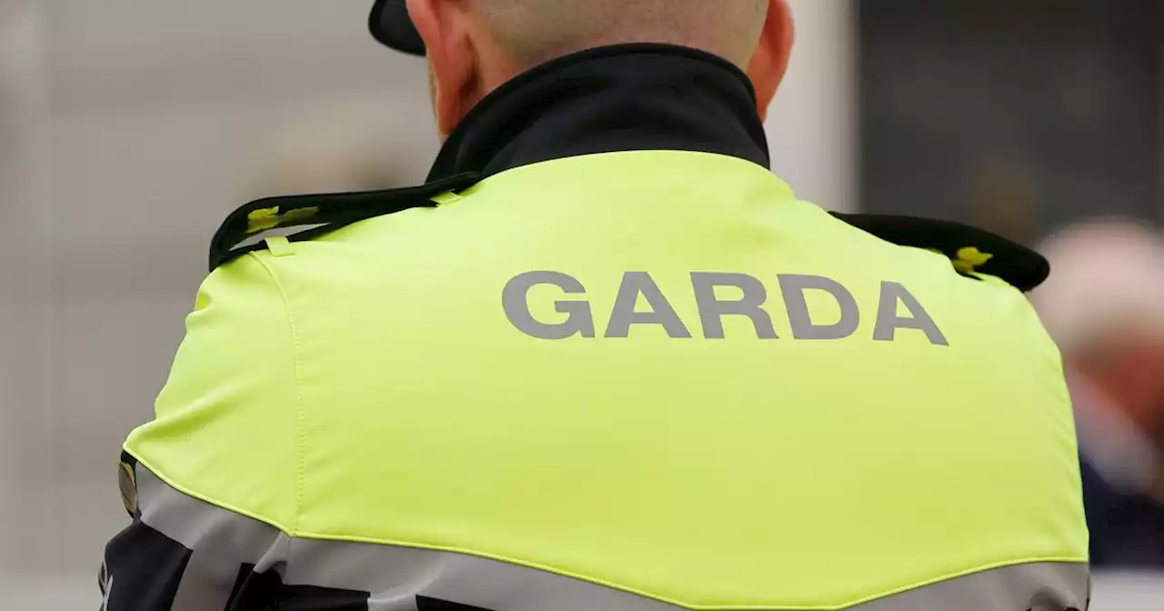 Two men arrested and garda receives minor injury following armed robbery in Dublin