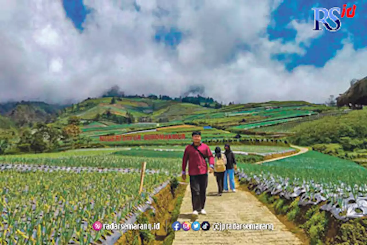 Branding Negeri Sayur Digelontor Rp 1 M