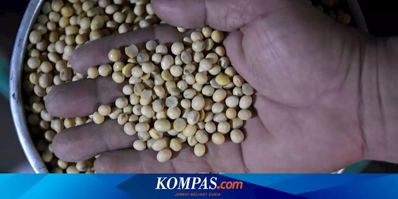 Siap-siap, Hari Ini Indonesia Dibanjiri Kedelai Impor 56.000 Ton