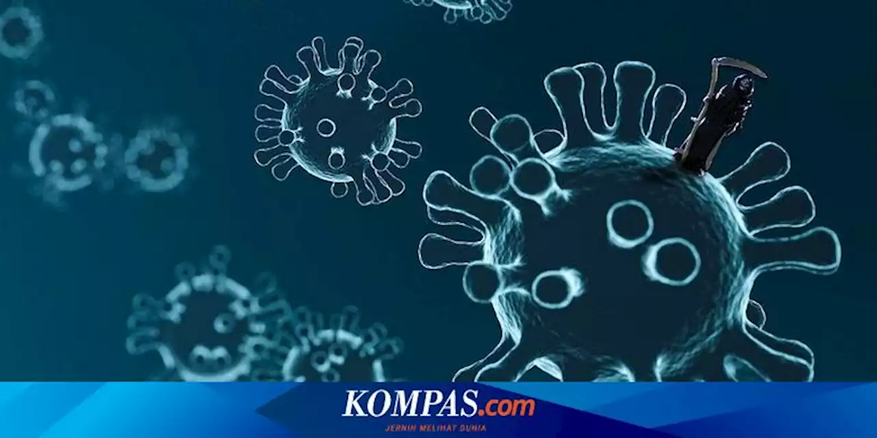 UPDATE 15 Januari 2023: Kasus Covid-19 Bertambah 239 dalam Sehari, Totalnya Jadi 6.726.086