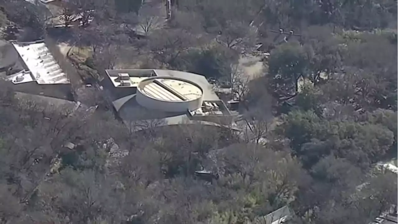 After Dallas Zoo leopard escape, cut found in monkey habitat