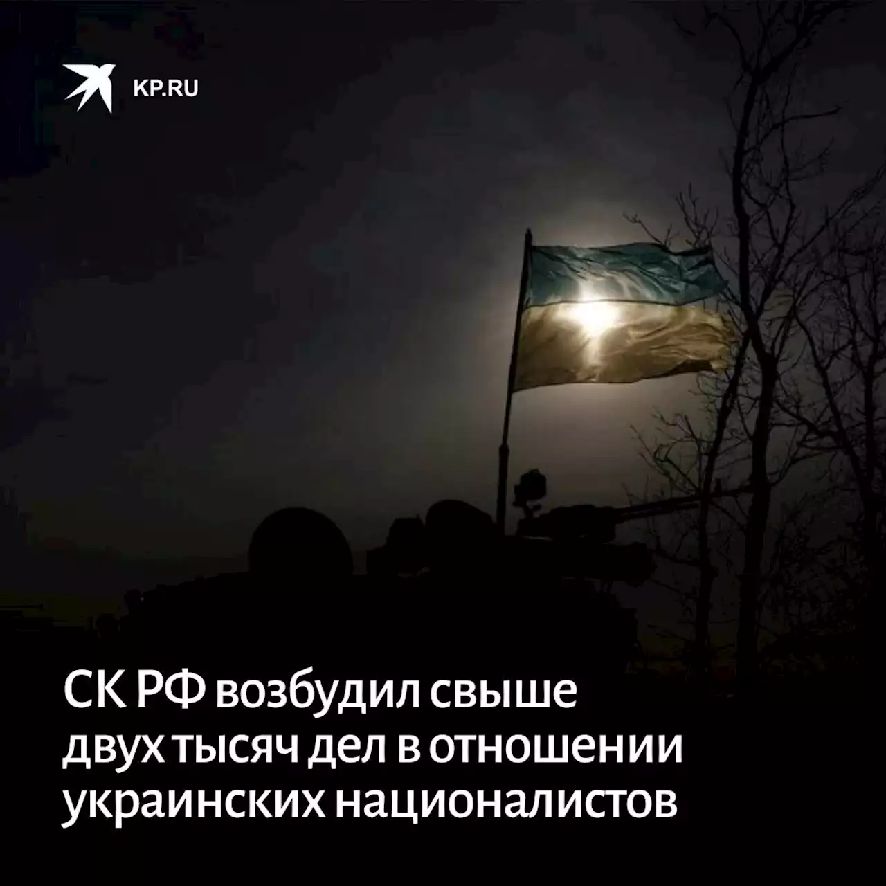 СК РФ возбудил свыше двух тысяч дел в отношении украинских националистов