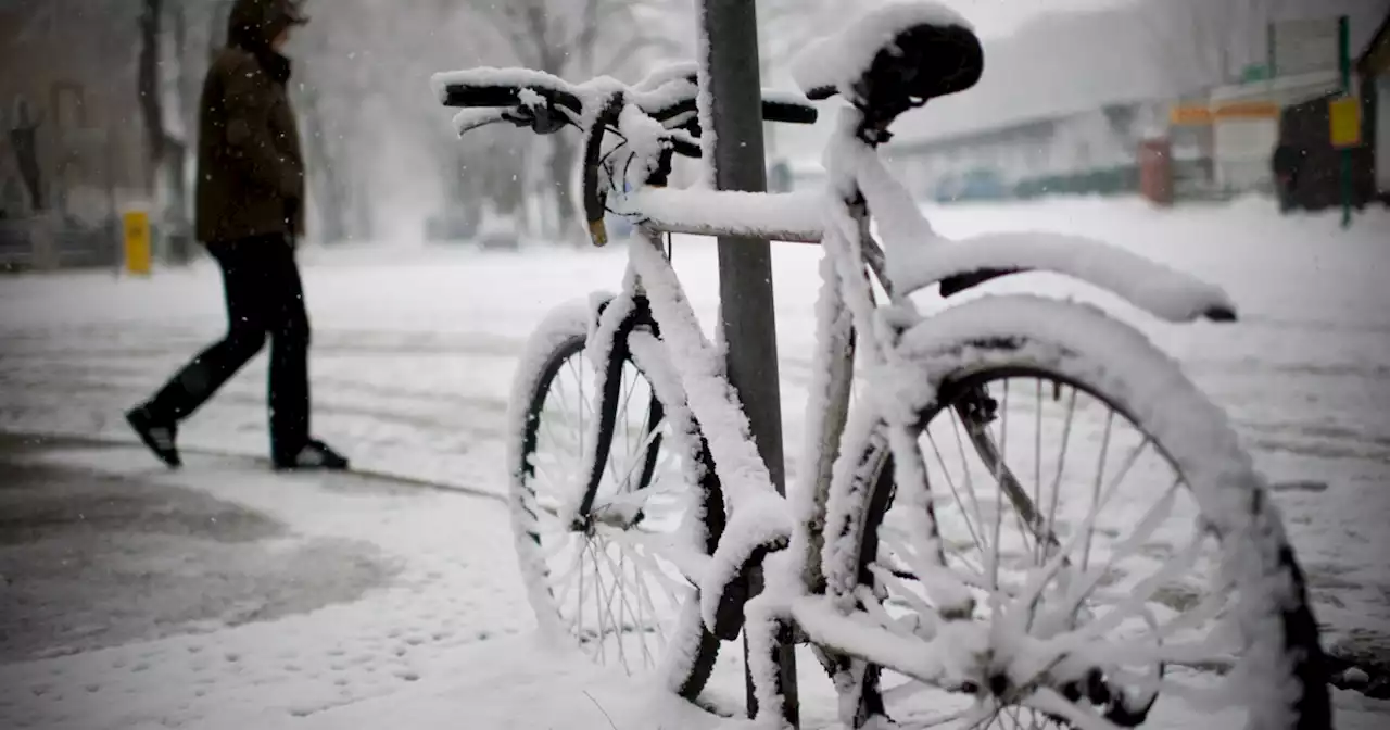 Nach falschem Frühling kehrt der Winter zurück