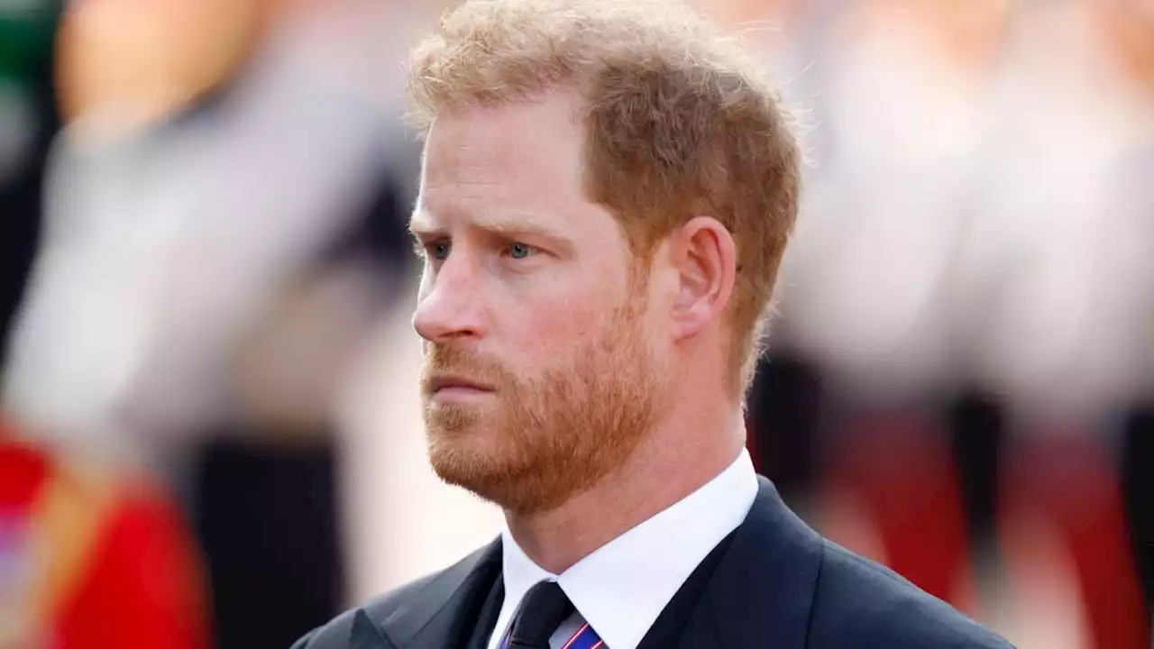 Prince Harry Says the Royal Family May Thank Him for ‘Spare’ in Five or 10 Years