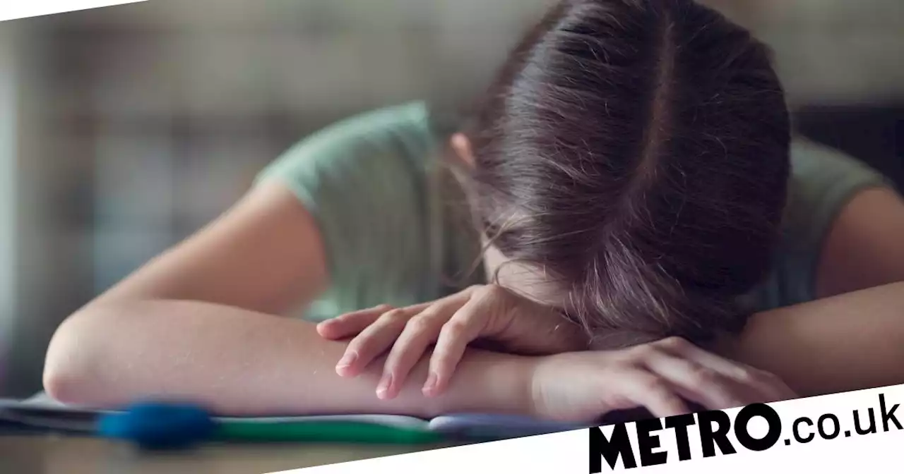 I'm 16 and was made homeless while studying for my GCSEs