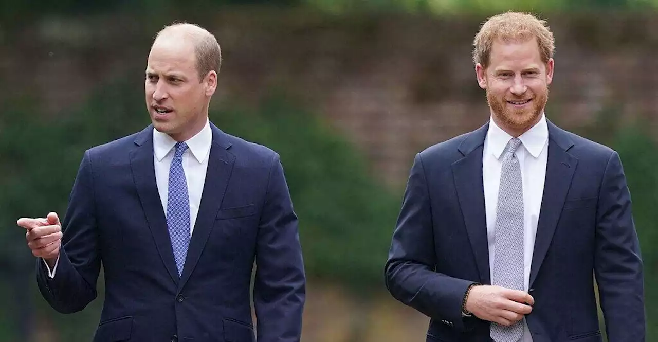 Prinz Harry wünscht sich Entschuldigung der Royals gegenüber Meghan