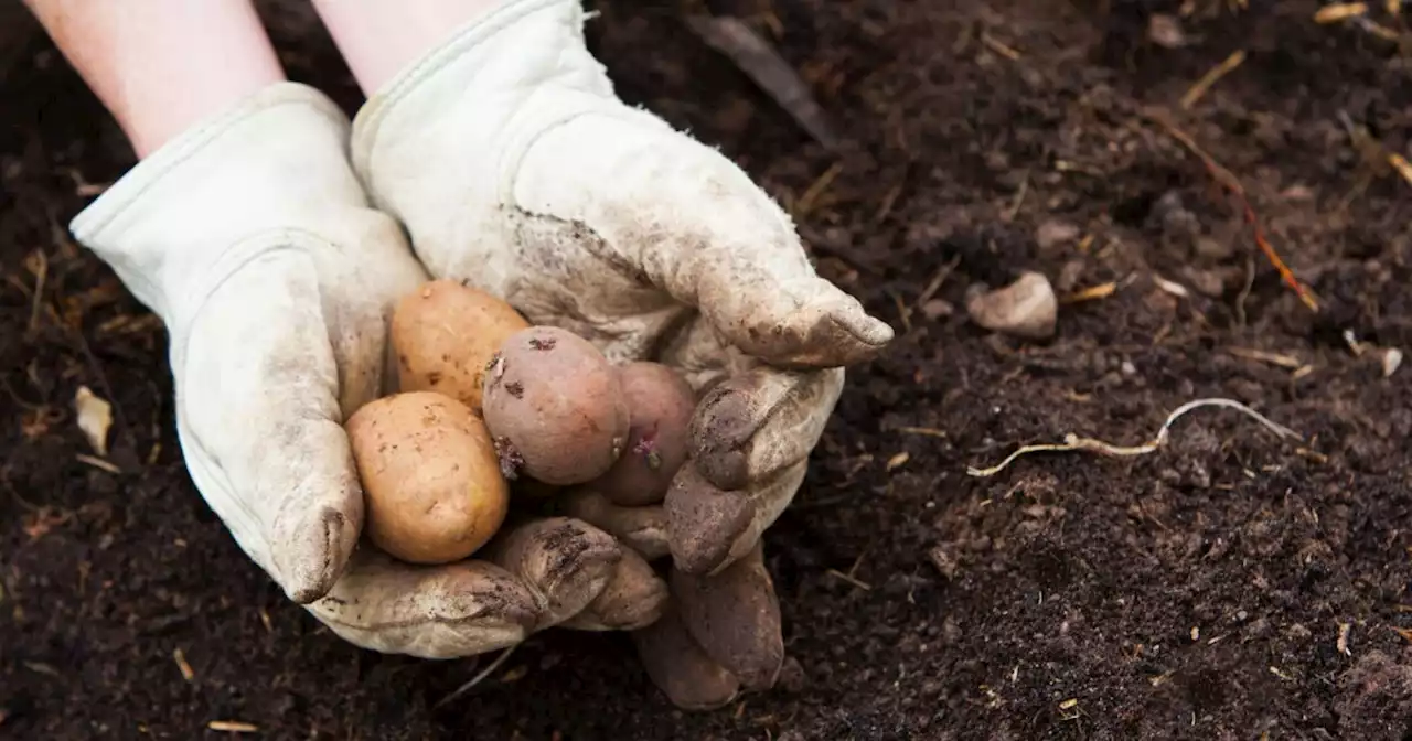 Derrumbe en Rosas, Cauca: gremios anuncian escasez de productos y sobrecostos