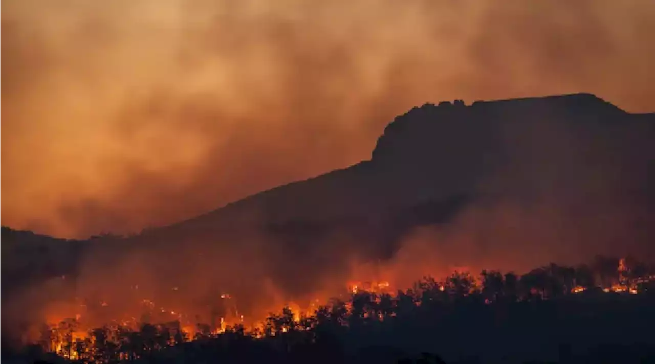 El planeta Tierra continúa ardiendo: el 2022 fue el sexto año más cálido desde 1880