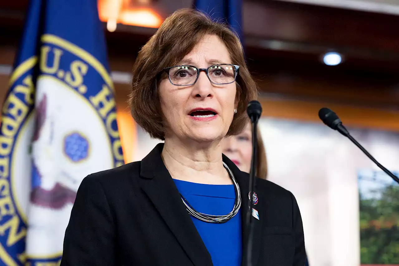 Oregon Rep. Suzanne Bonamici suffers concussion after being struck by car