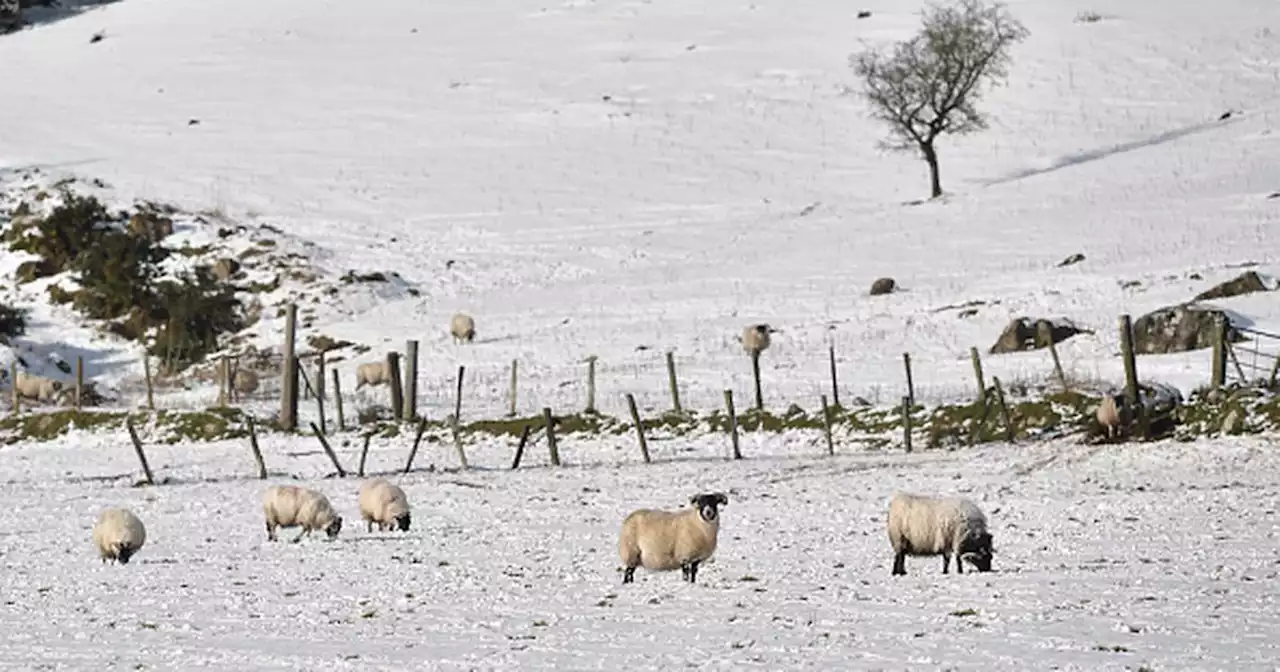 Met Eireann warn of snow, sleet and freezing cold snap on the way