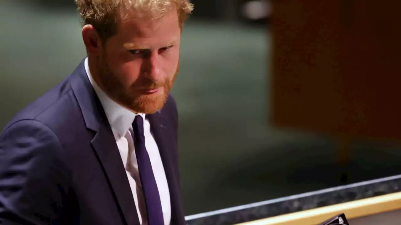 Prince Harry&#8217;s memoir should be called &#8216;Whinge&#8217; instead of &#8216;Spare&#8217;