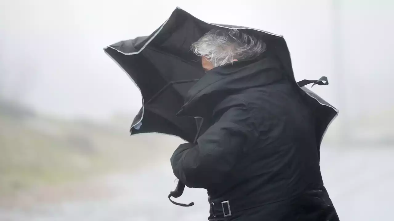 Flera vädervarningar: Kraftigt snöfall i norr – blåst och översvämningar i söder - Nyheter (Ekot)