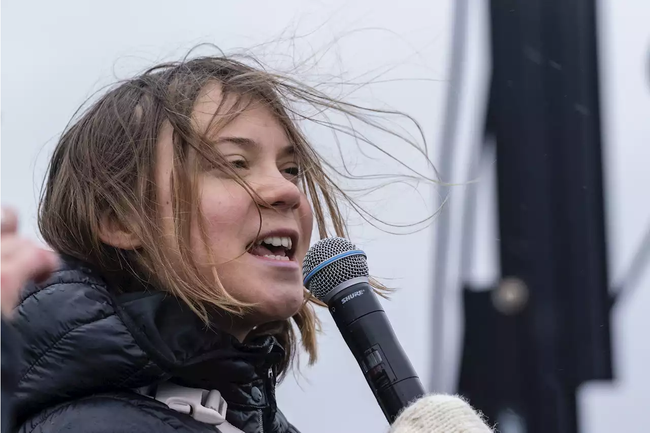 Eco-warrior Greta Thunberg led away by police at anti-coal mine demo