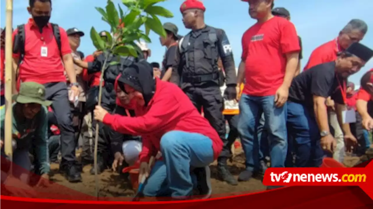 Heran Banyak yang Meremehkan Megawati, Mensos Risma Tak Terima: Ibu Luar Biasa Pintar