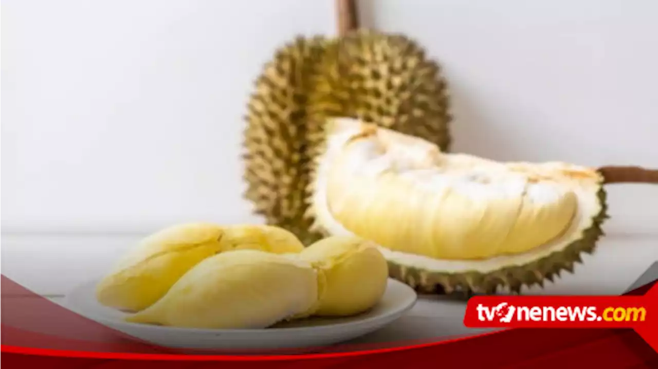 Selain Nikmat, Ternyata Buah Durian Juga Mampu Atasi Insomnia Hingga Cegah Kolesterol