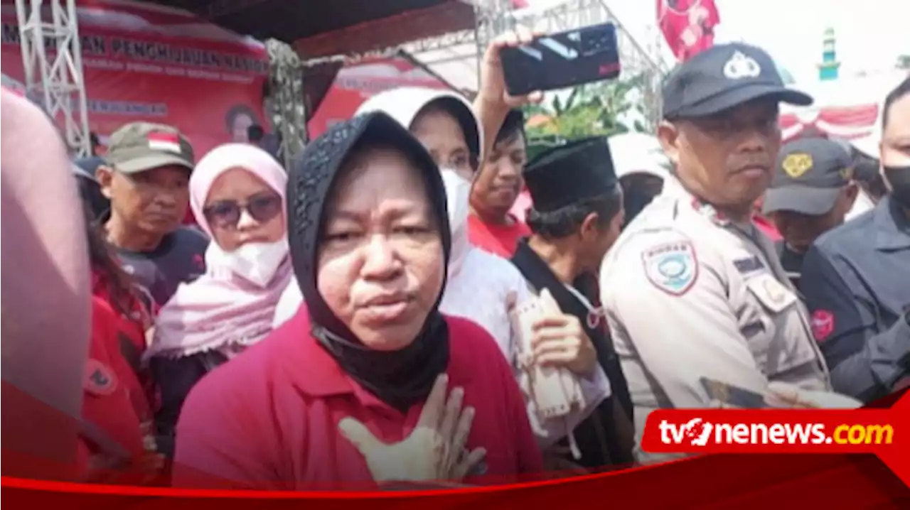 Surabaya Bisa Kena Gempa, Mensos Risma Sebut Menanam Pohon Jadi Ide Luar Biasa