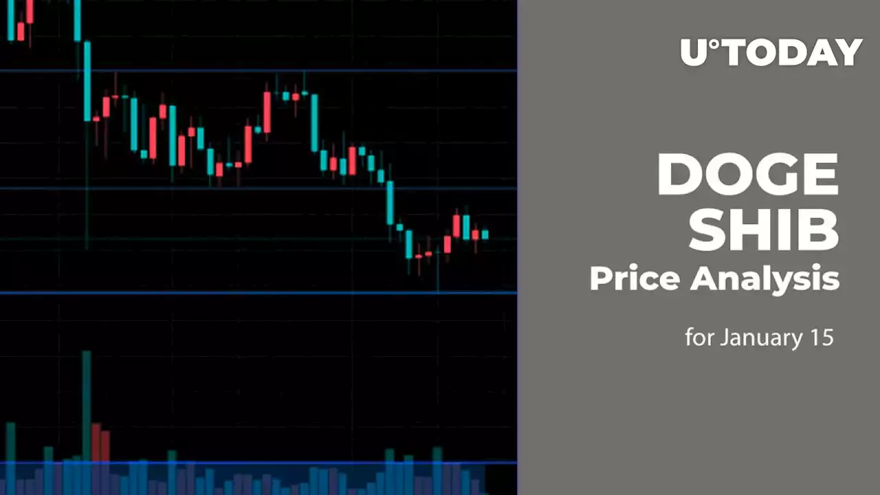 DOGE and SHIB Price Analysis for January 15