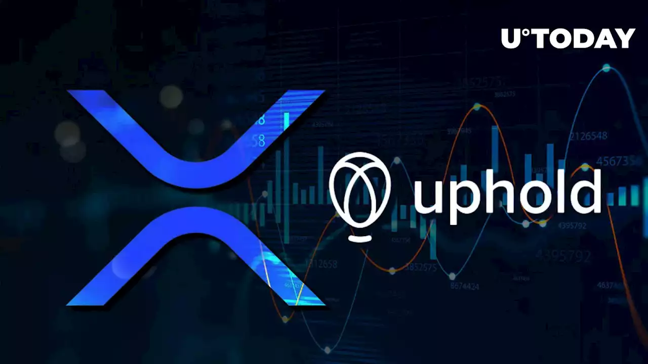 XRP's Most Surprising Price Prediction Shared by Uphold Head of Research: Details