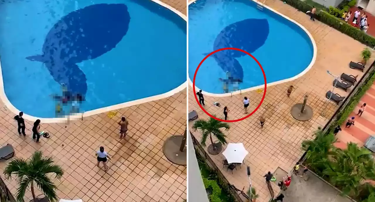 Children found motionless at bottom of pool after freak accident