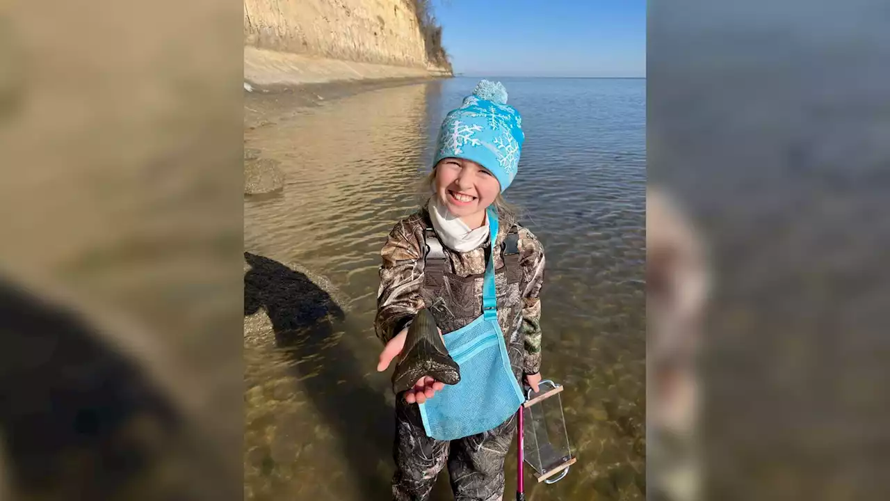 'Once-in-a-lifetime' discovery: 9-year-old girl finds megalodon tooth on Maryland beach