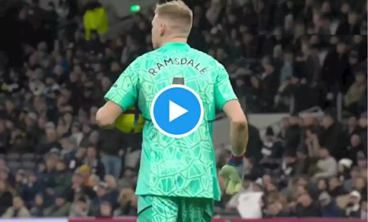 Tifoso del Tottenham colpisce con calcio portiere dell'Arsenal - Video