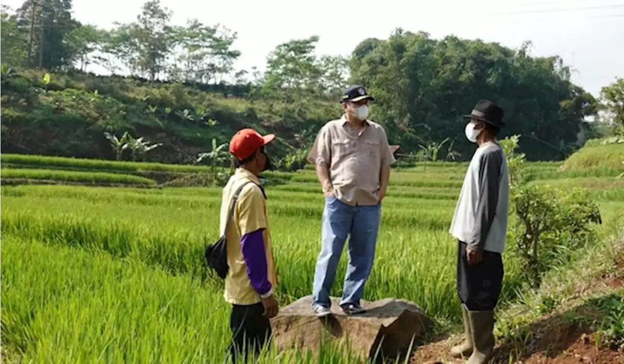 Pemprov NTB Disarankan Perbanyak Kawasan Lumbung Pangan