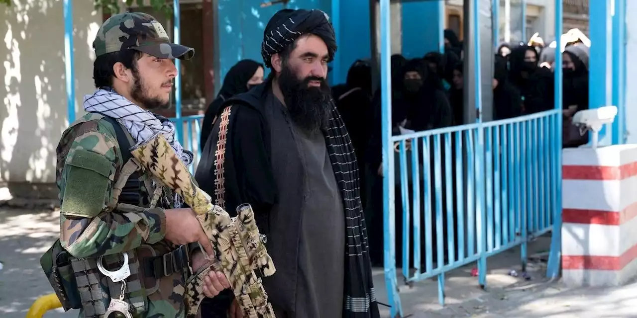 Taliban asks to keep getting UN aid money despite ending education for women | Business Insider