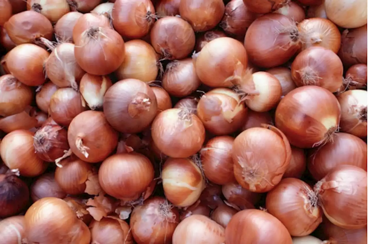 Onions sold at P700 in markets bought for P8-P15 a kilo from farmers, says agriculturist