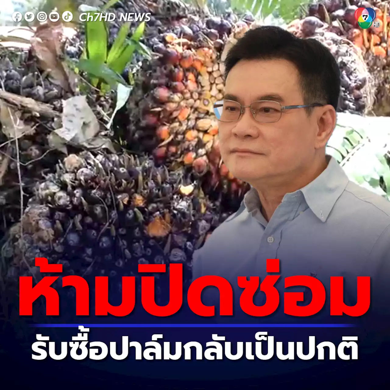 ”จุรินทร์” สั่งห้ามโรงสกัดปิดซ่อม โรงงานกลับมาเปิดรับซื้อผลปาล์มแล้ว